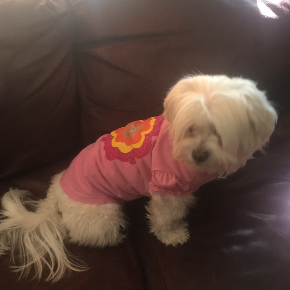 Meet your Posher, Brinda - Picture 5 of 5